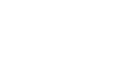 Custom sector